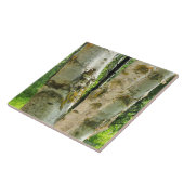 Boom Tegeltje (Zijkant)