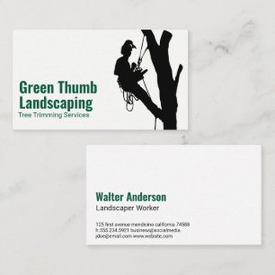 Boom trimmen op de boom landschapsarchitectuur visitekaartje
