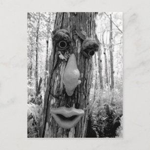 Boom trol op een Big Cypress boom. Briefkaart