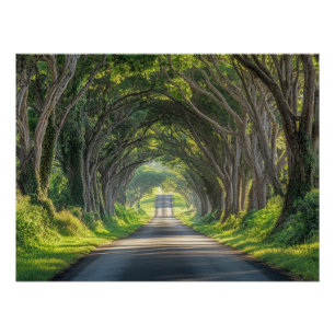Boom Tunnel Kauai Fotografie Wanddecoratie Perfect Poster