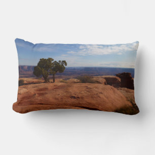 Boom uit rode rotsen I in Canyonlands Kussen