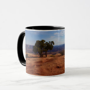 Boom uit rode rotsen I in Canyonlands Mok