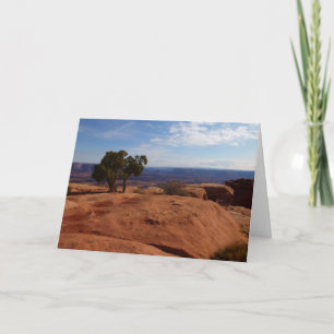 Boom uit rode rotsen I in Canyonlands Notitiekaartje