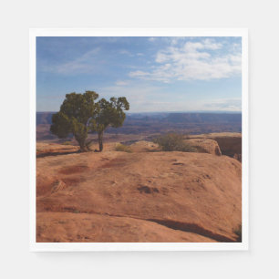 Boom uit rode rotsen I in Canyonlands Servet