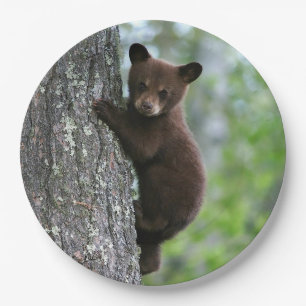 Boom van bruin Beer Papieren Bordje