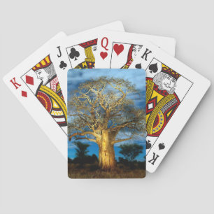 Boom van de Baobab (Adansonia) licht op de maan Pokerkaarten