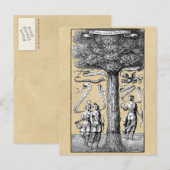 Boom van de Opposites United in Alchemy Briefkaart (Voorkant / Achterkant)