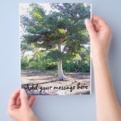 Boom van de Wisdom-flyer Flyer (Hand)