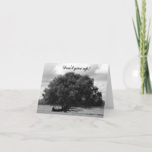 Boom van het Leven Kaart