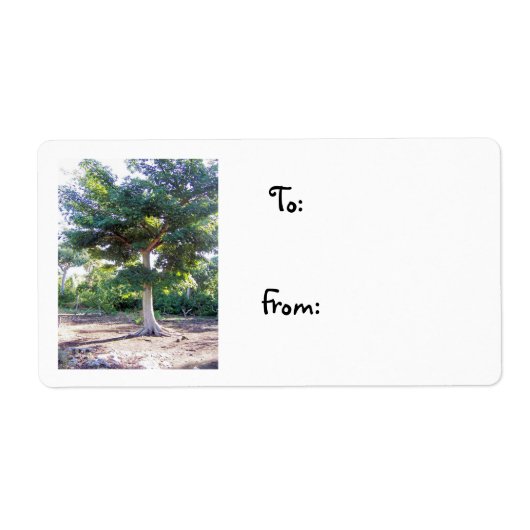 Boom van het Wisdom-kerstlabel Etiket (Voorkant)