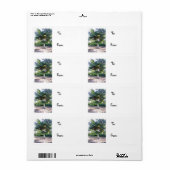 Boom van het Wisdom-kerstlabel Etiket (Full Sheet)