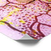 Boom van Life Peace on Earth 2 Poster (Hoek)