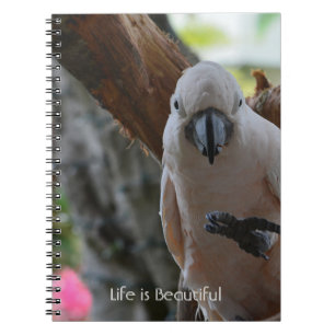 Boom Vogel Kauai (mijn fotografie) Notitieboek