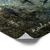 Boom Walker Poster (Hoek)