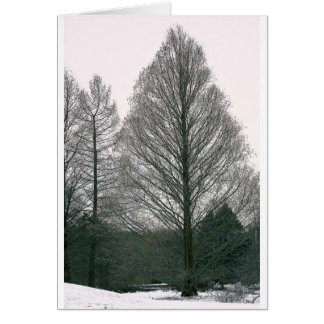 Boom - Wave Hill NYC