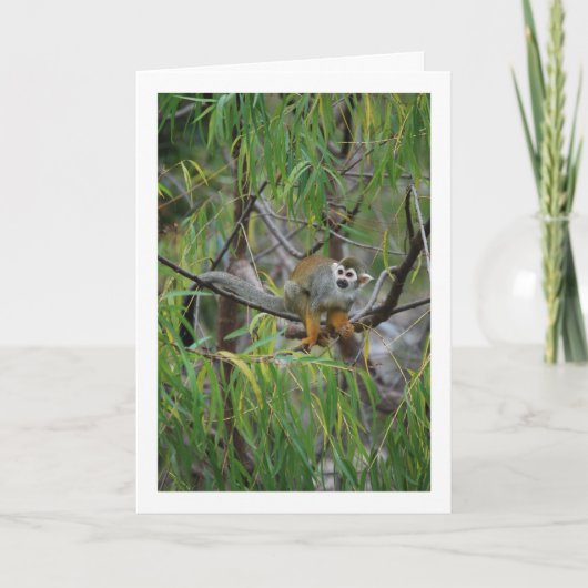 boomaap kaart (Voorkant)