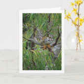 boomaap kaart (Gele Bloem)