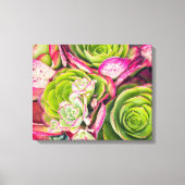 boomaeonium canvas afdruk (Voorkant)