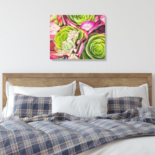 boomaeonium canvas afdruk (Insitu (Slaapkamer))