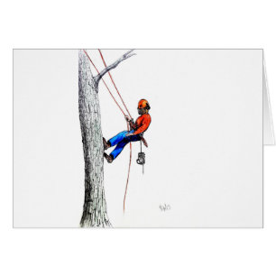 Boomchirurg Arborist Forester