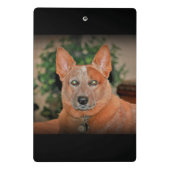 "Boomer" Red Heeler Dog mini klembord (Achterkant)