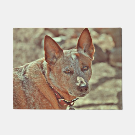 Boomer Red Heller Mat (Voorkant)