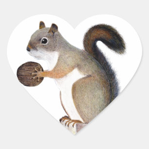 Boomer Squirrel Hart Sticker