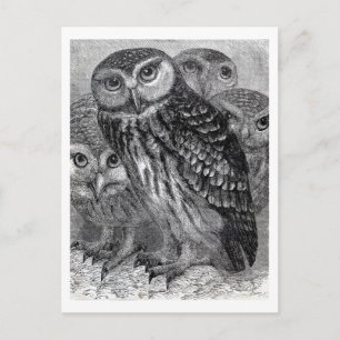  boomfamilie briefkaart