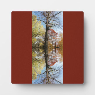 Boomfoto gespiegeld fotoplaat