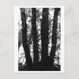 Boomfotografie - Arden Briefkaart