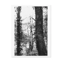 Boomfotografie - Nikki