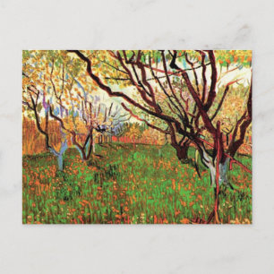 Boomgaard in bloei, Vincent van Gogh Briefkaart