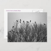 Boomgewassen Briefkaart (Voorkant / Achterkant)