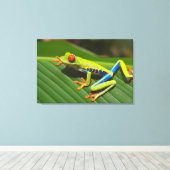 Boomkikker Canvas Afdruk (Insitu (Houten vloer))