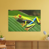 Boomkikker Canvas Afdruk (Insitu (Woonkamer))