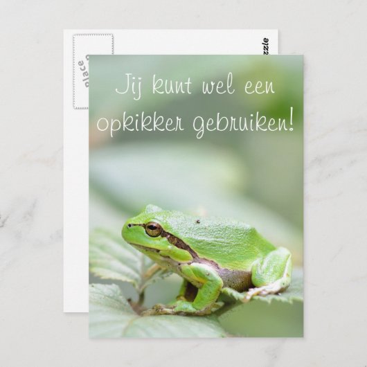 Boomkikker met de tekst 'Opkikker' briefkaart (Voorkant / Achterkant)