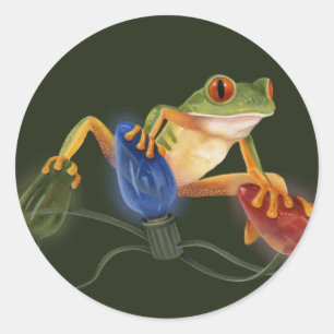 Boomkikker Ronde Sticker