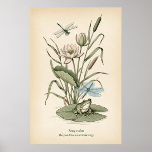 Boomkikker Waterlelie Vijver Lijnkunst Poster