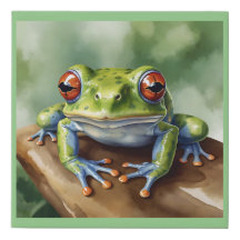 Boomkikker, waterverf aan