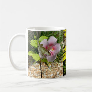 Boomkikkers Hibiscus bloemen Mok