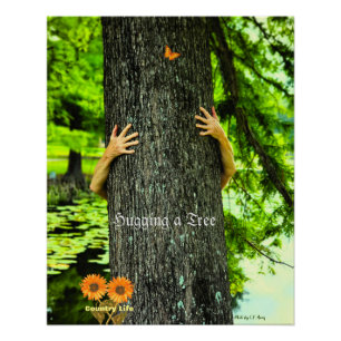 Boomknuffelen - Landelijk Leven Perfect Poster
