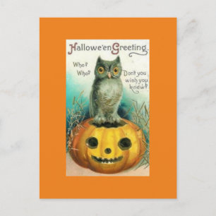  boomkor op het Briefkaart Pumpkin Halloween