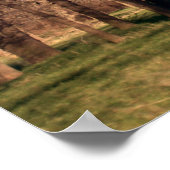 Boomlandschap Poster (Hoek)