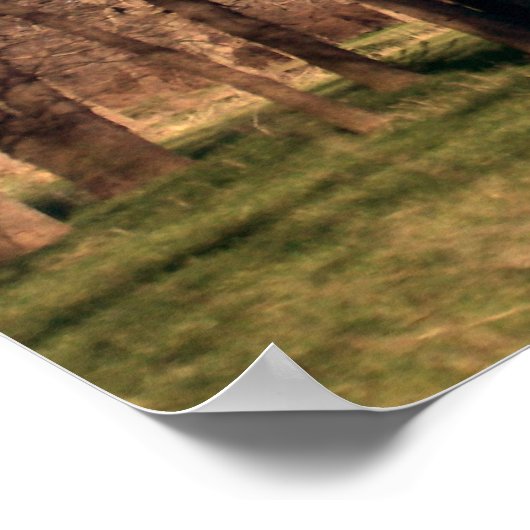 Boomlandschap Poster (Hoek)