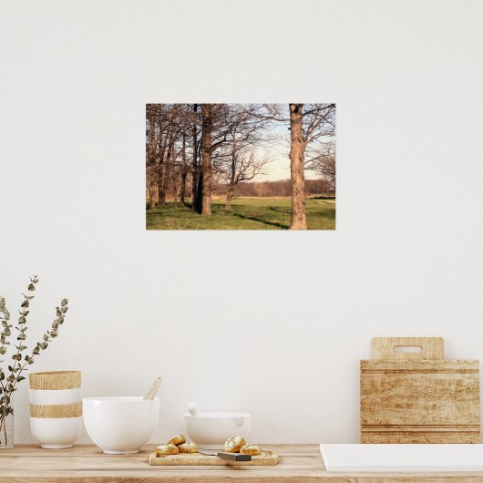 Boomlandschap Poster (Keuken)