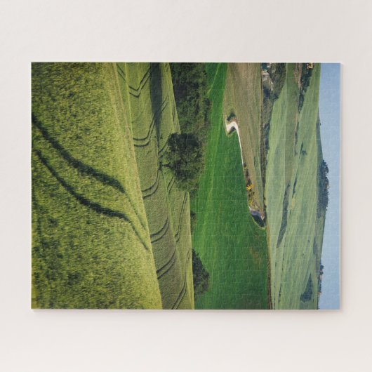 Boomlijnen in een groen Toscaans landschap Legpuzzel (Horizontaal)