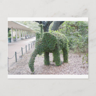 Boomolifant Briefkaart