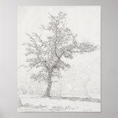 Boomschets. poster (Voorkant)