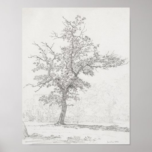 Boomschets.  poster (Voorkant)