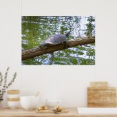 boomschildpad poster (Keuken)